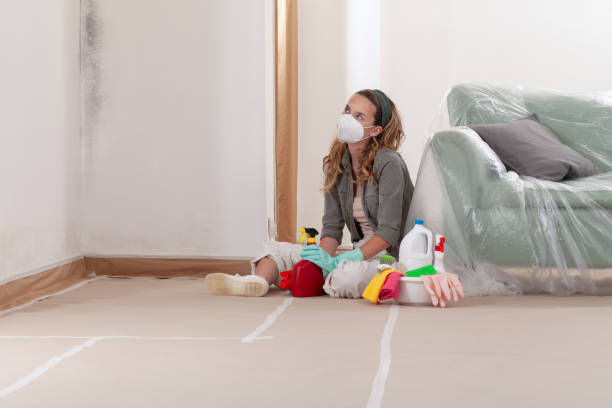 Reliable Bathroom Mold Removal contractor in Loveland, CO by WQB Mold Removal